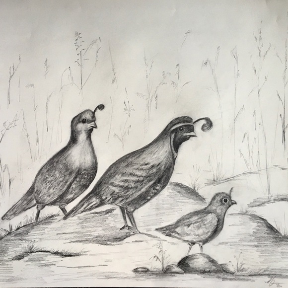 Meet your Posher, Ann - Picture 3 of 3